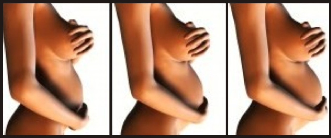 Evolución del embarazo por foto de www.pormibebe.org