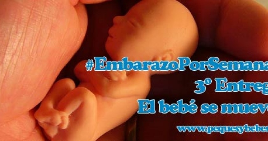 3ª Entrega #EmbarazoPorSemanas. Ya se mueve tu bebé!!! Lo quieres conocer?