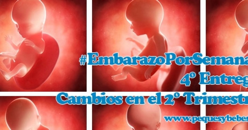 4ª Entrega#EmbarazoPorSemanas.Comienza el segundo trimestre!!!