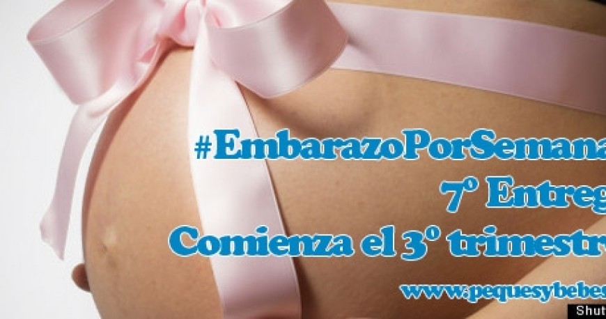 7ª Entrega #EmbarazoPorSemanas. Comienza el tercer trimestre.