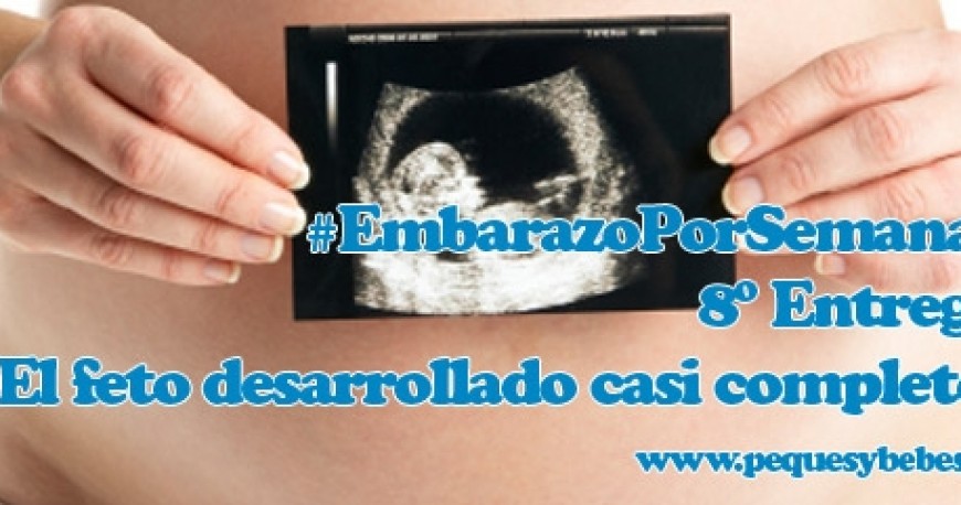 8ª Entrega #EmbarazoPorSemanas.El feto alcanza un desarrollo casi completo